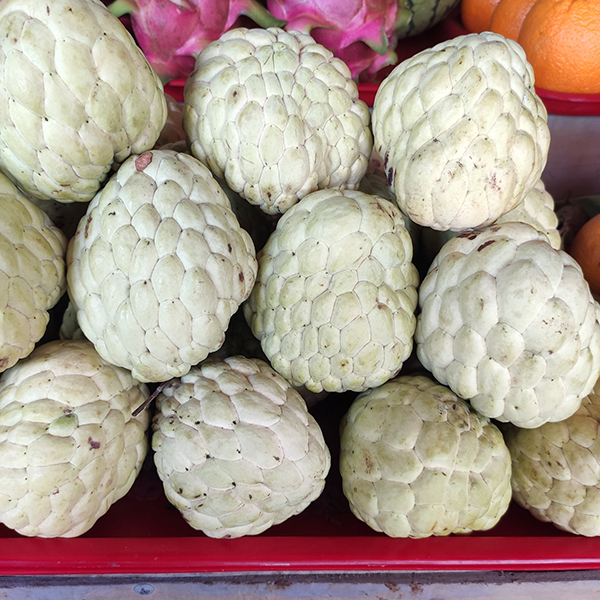 Mãng cầu (na)